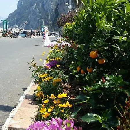 Casa Dora